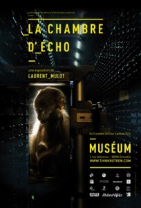 affiche-chambre-echo