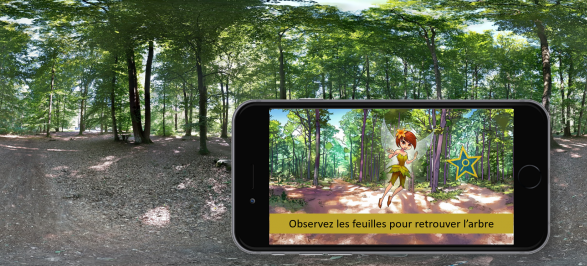 Atelier Nature, Observez les feuilles pour retrouver l'arbre