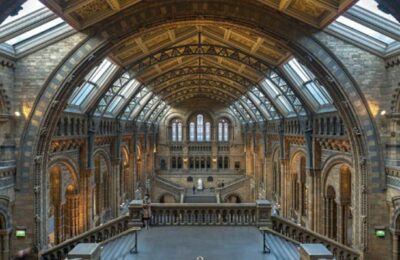 musée-histoire-naturelle-londres-vue-intérieure