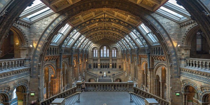 musée-histoire-naturelle-londres-vue-intérieure
