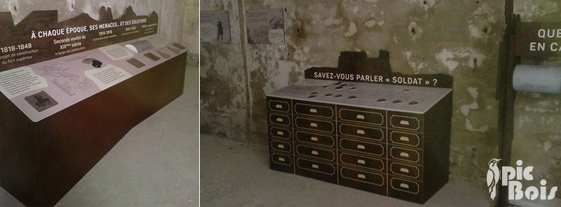 fort-l-ecluse-pic-bois