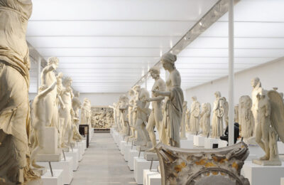 skinsoft-musee-moulages-lyon