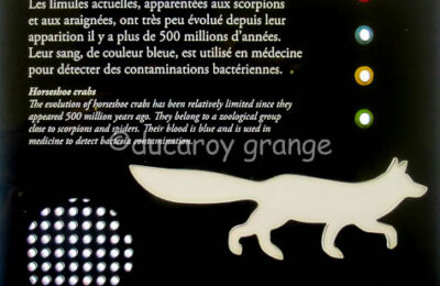 panneau tactile et sonore Ducaroy Grange