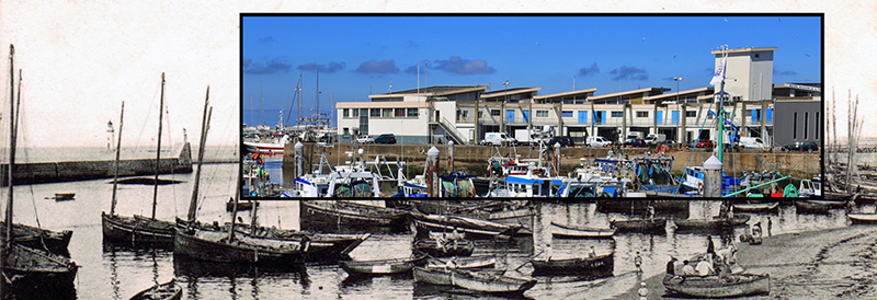 Le Port de la Turballe, Association Au Gré des Vents.