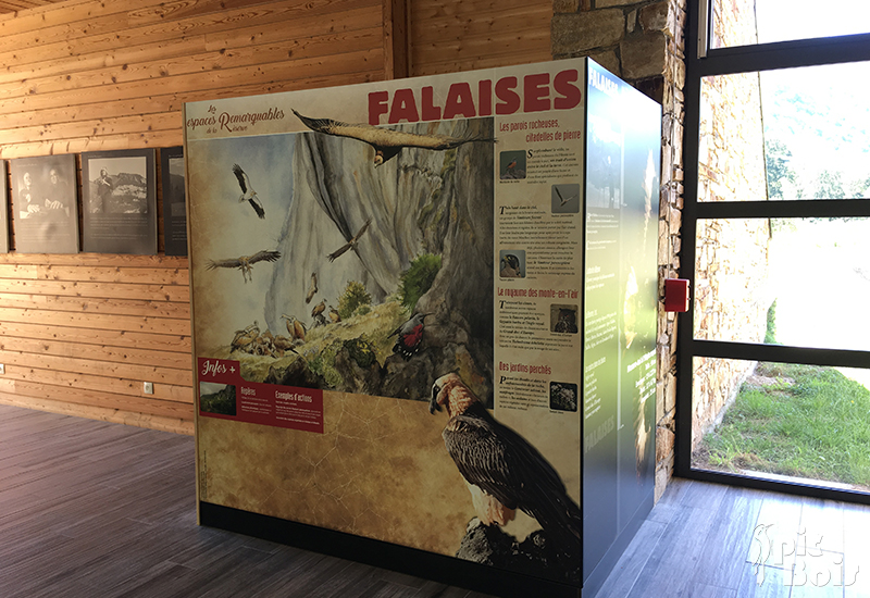 exposition-pibeste-aoulhet-cloison-fixe-pic-bois