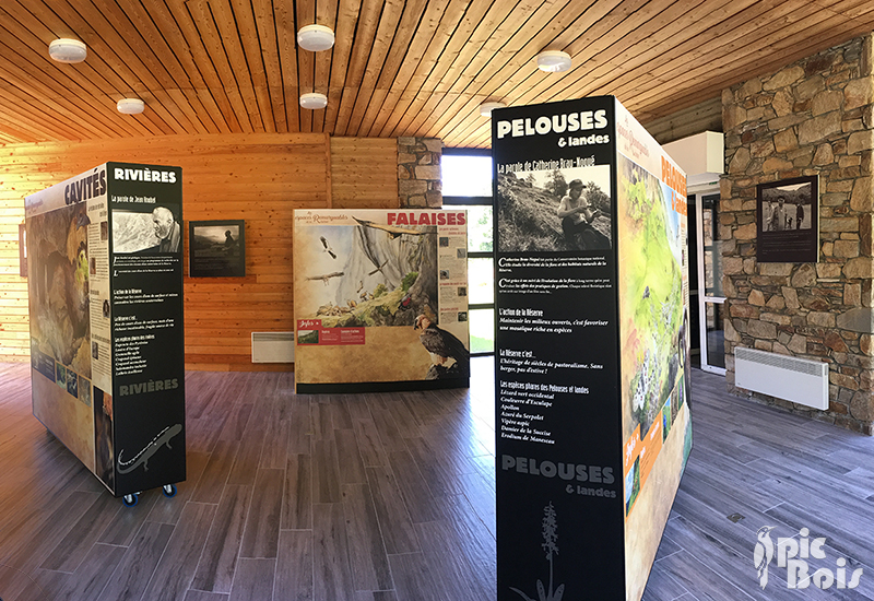 exposition-pibeste-aoulhet-pic-bois