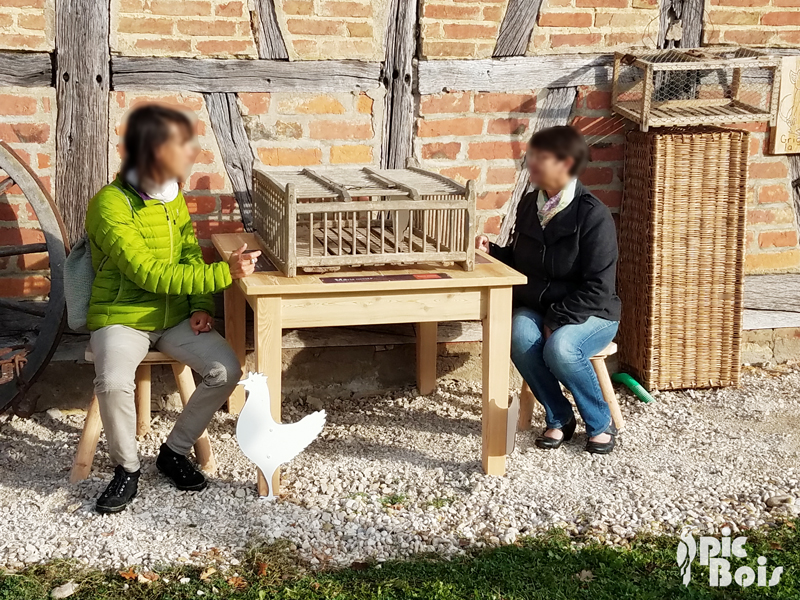 Borne-sonore-des-poules-de-Bresse-pic-bois