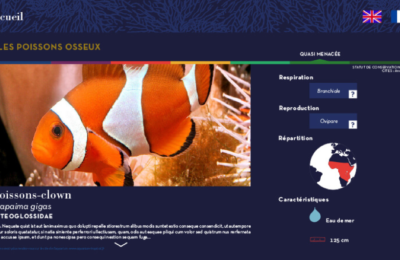 borne-interactives-digitalisation-aquarium-tropical-paris