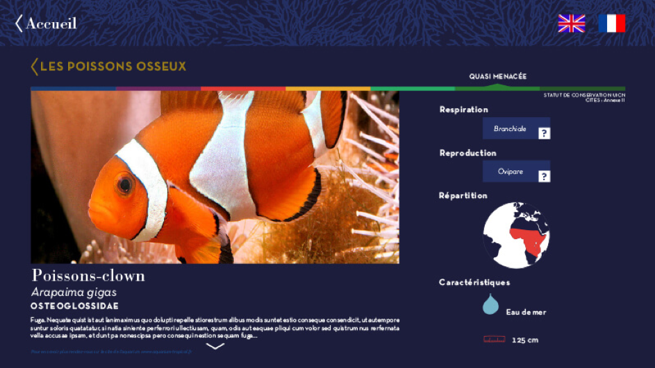 borne-interactives-digitalisation-aquarium-tropical-paris