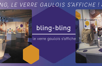 agence-point-de-fuite-bling-bling-museoparc-alesia