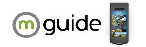 sycomore-mguide-chateau-de-chenonceau
