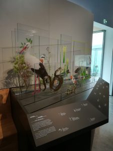 boscher-centre-de-découverte-terre-estuaire-cordemais-mobilier