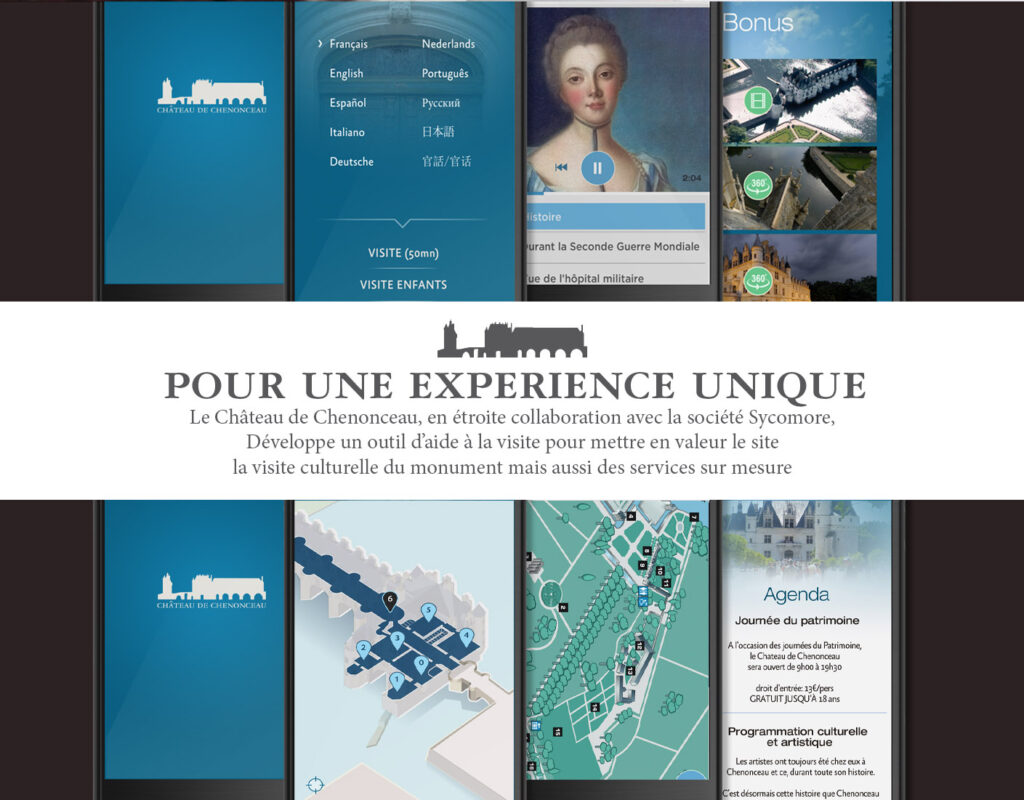 sycomore-mguide-chateau-de-chenonceau