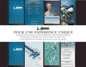 sycomore-mguide-chateau-de-chenonceau