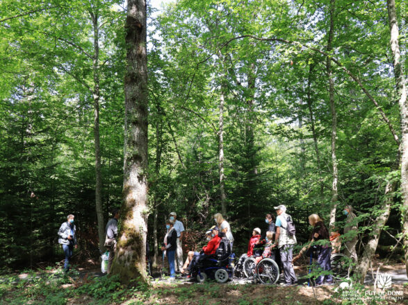 Un groupe de personnes à mobilité réduite, certaines avec béquille, d'autres en fauteuil roulant, se promène dans la forêt.