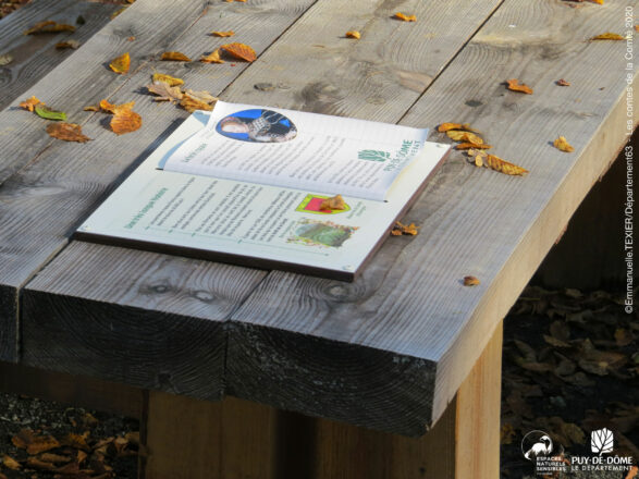 Un livre est posé sur une table de pique-nique.