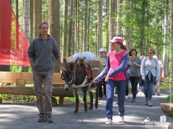 Un groupe de promeneurs en situation de handicap mental (association M'Arche en choeur) suivent un guide et son âne.