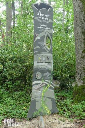 Totem didactique – Le bois mort Totem didactique – Le bois mort