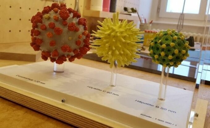 Maquettes de virus - Ducaroy Grange - Crédit Photo : Musée du Compagnonnage